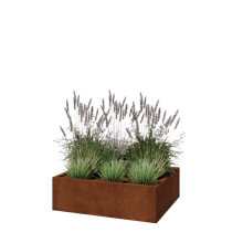 Cortenstaal plantenbak - Rechthoek - 100 x 80 x 30 cm - Zonder bodemplaat