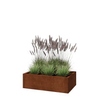 Cortenstaal plantenbak - Rechthoek - 100 x 60 x 30 cm - Met bodemplaat