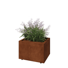 Cortenstaal plantenbak - Rechthoek - 60 x 50 x 40 cm - Met bodemplaat - Met poten