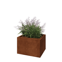 Cortenstaal plantenbak - Rechthoek - 60 x 50 x 40 cm - Met bodemplaat