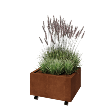 Cortenstaal plantenbak - Rechthoek - 60 x 50 x 30 cm - Met bodemplaat - Met wielen