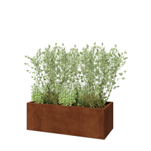 Cortenstaal plantenbak - Rechthoek - 120 x 50 x 40 cm - Zonder bodemplaat