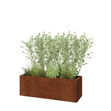Cortenstaal plantenbak - Rechthoek - 120 x 40 x 40 cm - Met bodemplaat