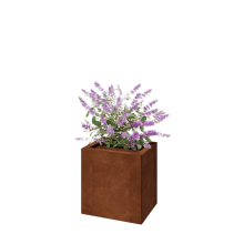 Cortenstaal plantenbak - Rechthoek - 40 x 30 x 40 cm - Met bodemplaat