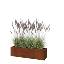Cortenstaal plantenbak - Rechthoek - 120 x 30 x 30 cm - Zonder bodemplaat
