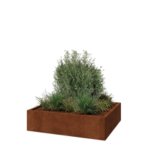Cortenstaal plantenbak - Rechthoek - 120 x 100 x 30 cm - Met bodemplaat
