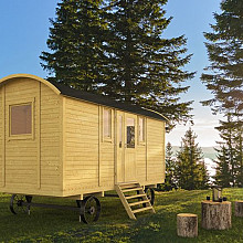 Circuswagen Patricia | 19mm | vuren onbehandeld | 480 x 240 cm | excl. onderstel