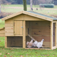 Dierenverblijf Barnevelder