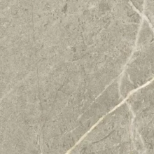 TAOL di Bosce Nature 100x100x2 cm Rectified 100x100x2 cm